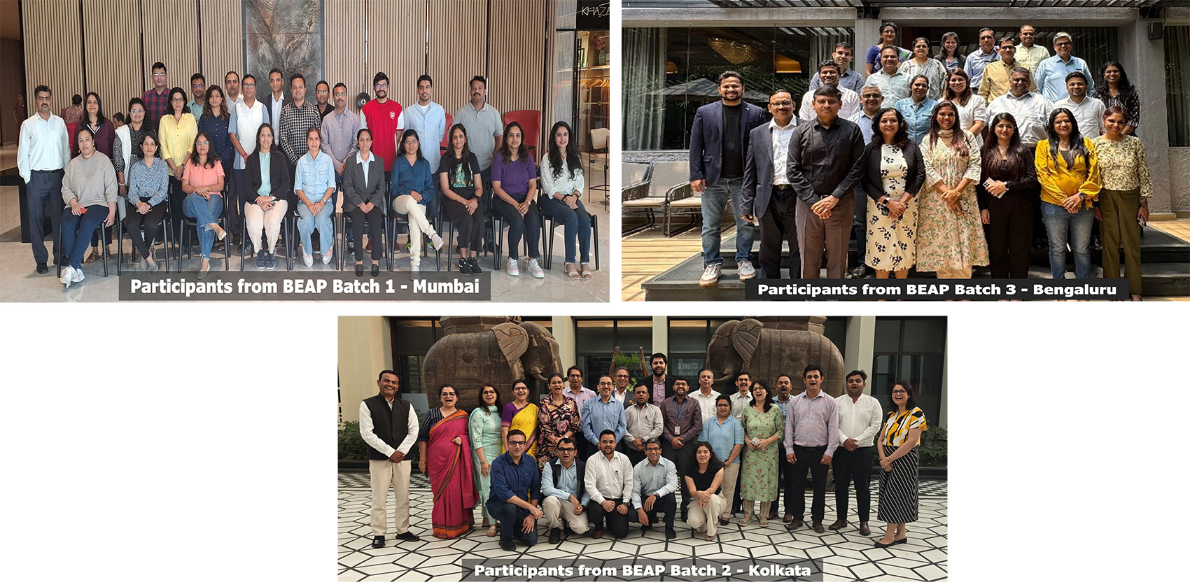 Business Excellence Assessor Programmes (BEAP)